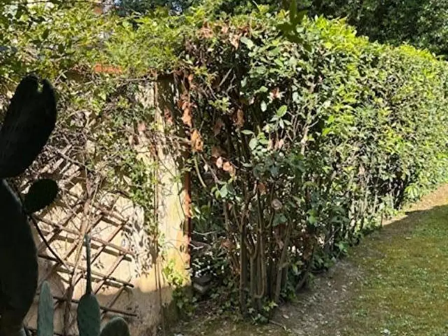 Immagine 20 di Appartamento in vendita  a Massa