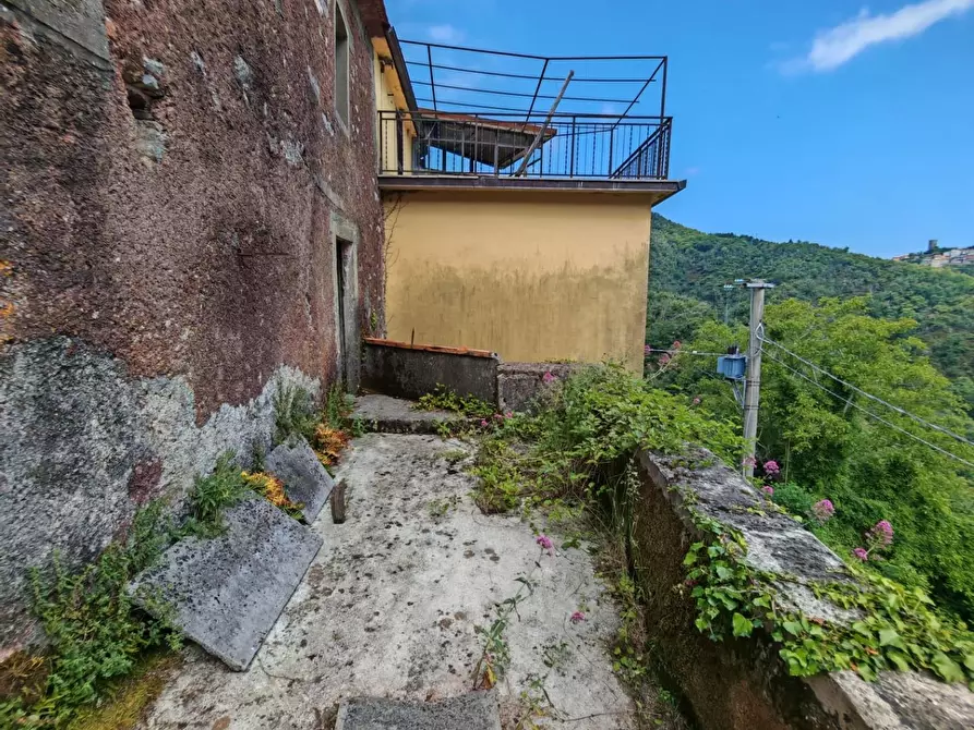 Immagine 22 di Porzione di casa in vendita  a Fivizzano