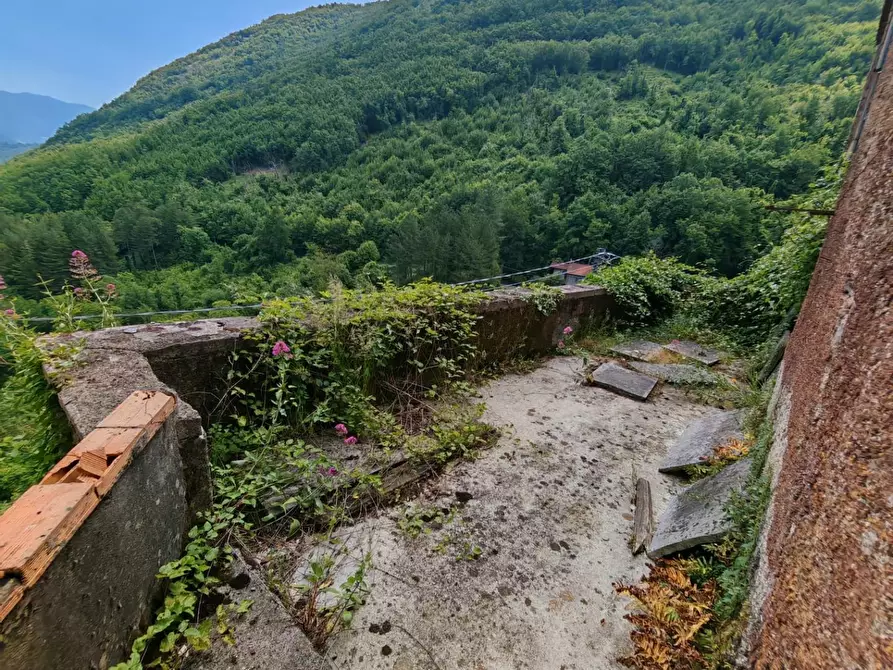Immagine 21 di Porzione di casa in vendita  a Fivizzano