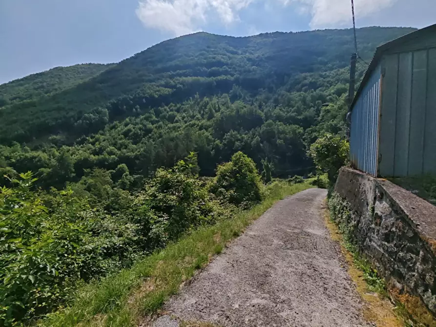 Immagine 5 di Porzione di casa in vendita  a Fivizzano