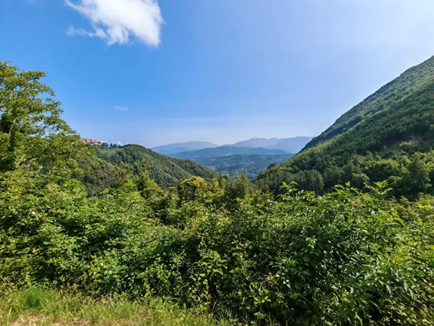 Immagine 8 di Porzione di casa in vendita  a Fivizzano