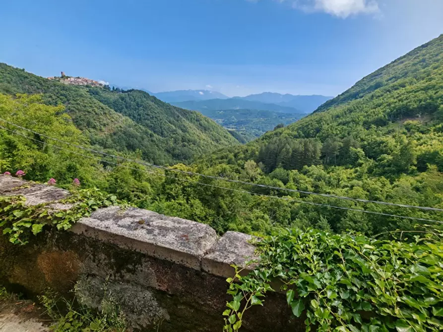 Immagine 23 di Porzione di casa in vendita  a Fivizzano