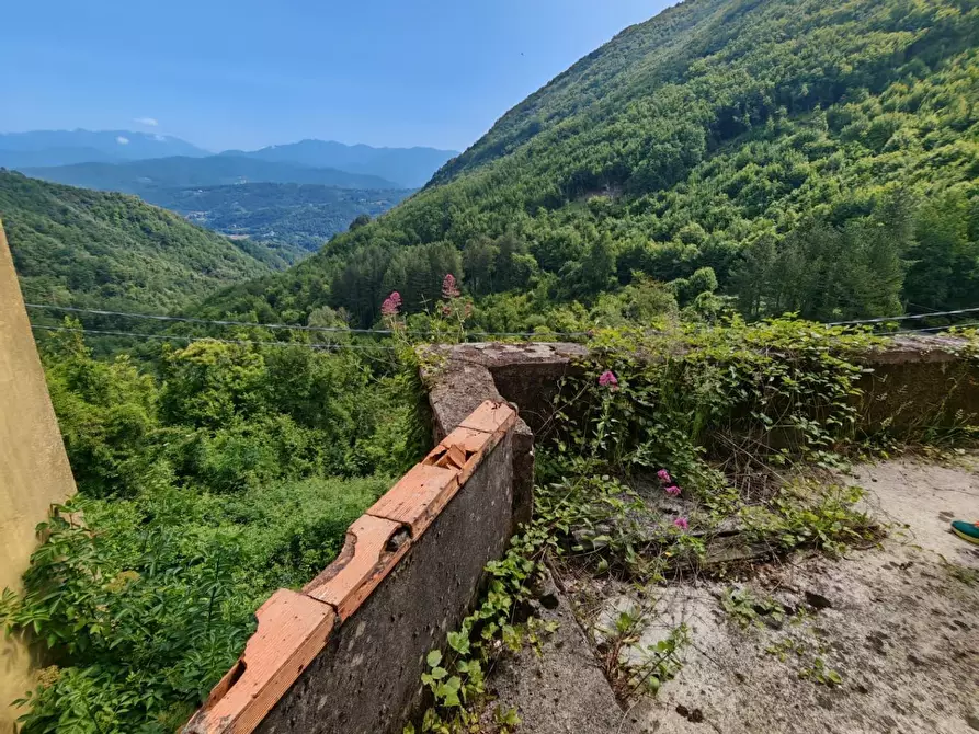 Immagine 24 di Porzione di casa in vendita  a Fivizzano