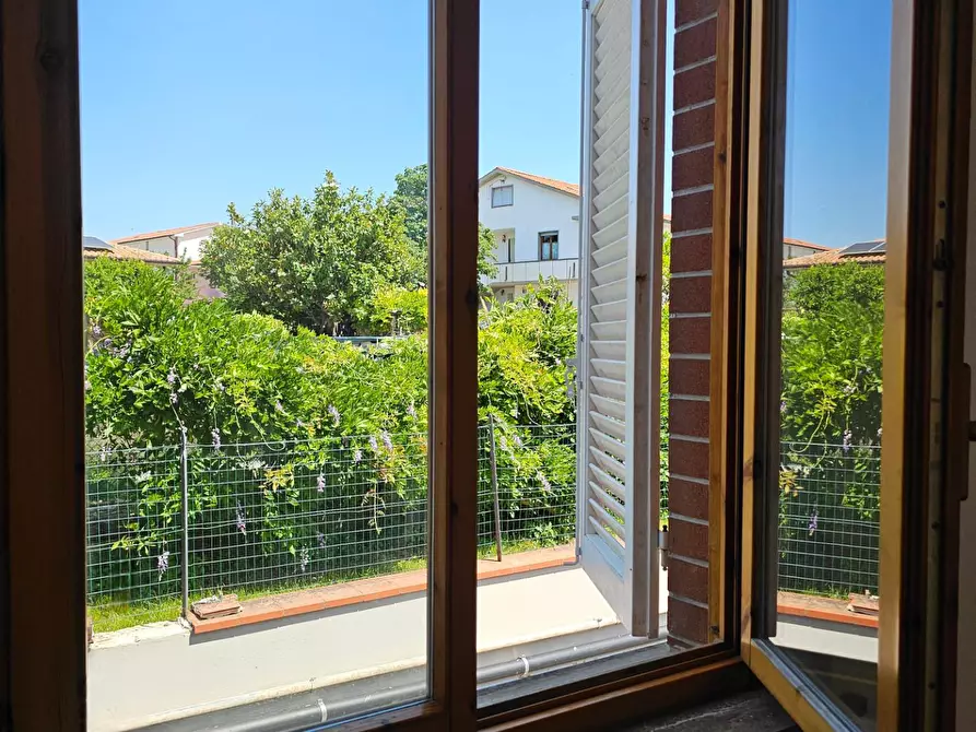 Immagine 24 di Appartamento in vendita  a Collesalvetti