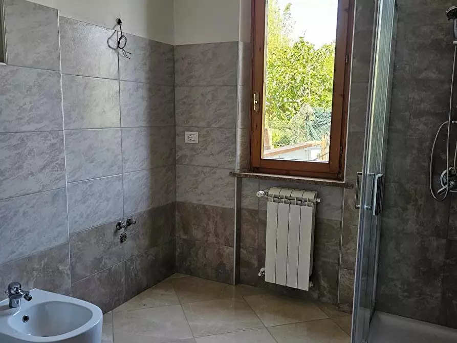 Immagine 15 di Appartamento in vendita  a Collesalvetti