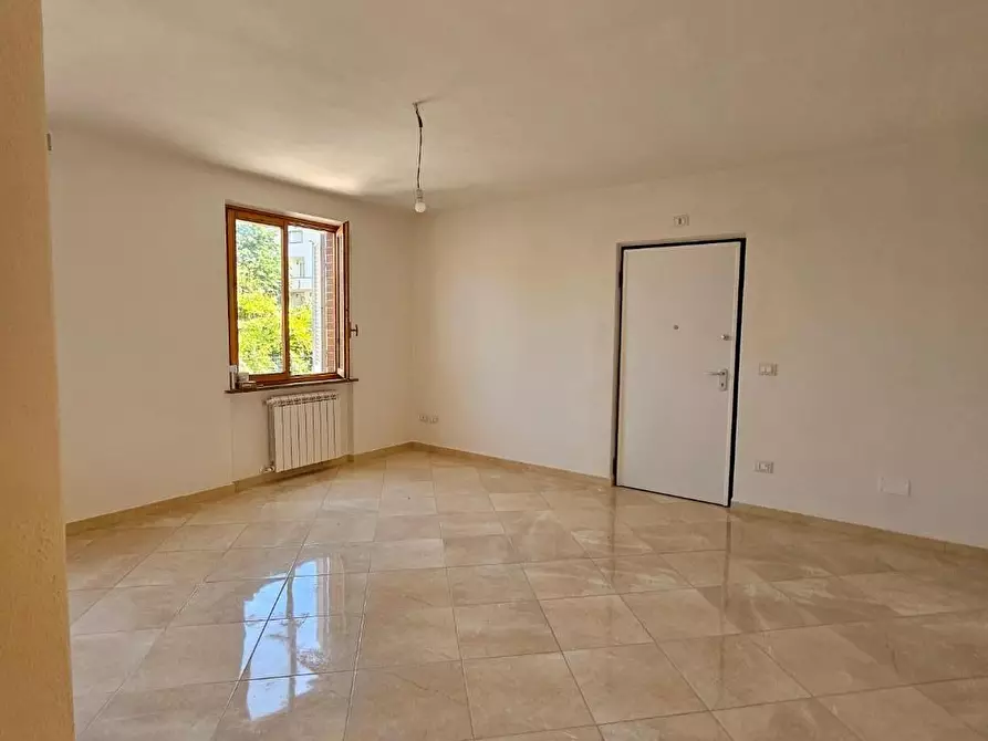 Immagine 7 di Appartamento in vendita  a Collesalvetti