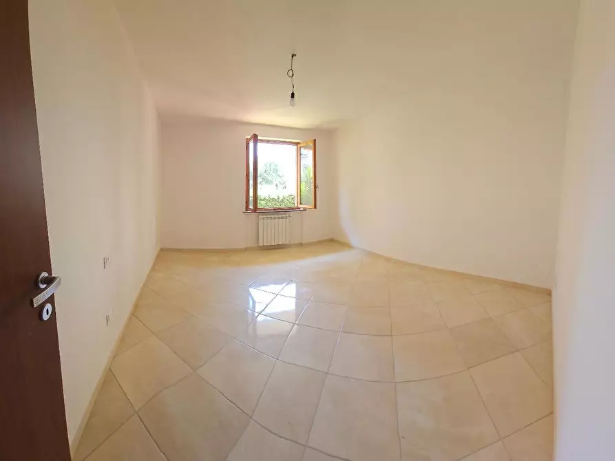 Immagine 22 di Appartamento in vendita  a Collesalvetti