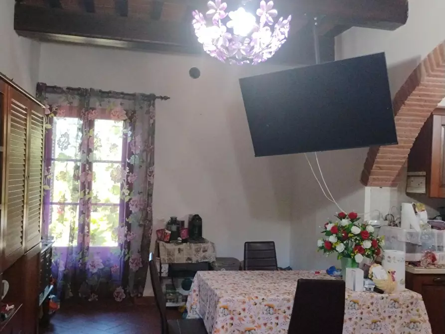 Immagine 5 di Appartamento in vendita  a Fauglia