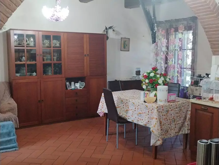 Immagine 4 di Appartamento in vendita  a Fauglia