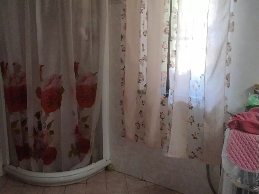 Immagine 11 di Appartamento in vendita  a Fauglia