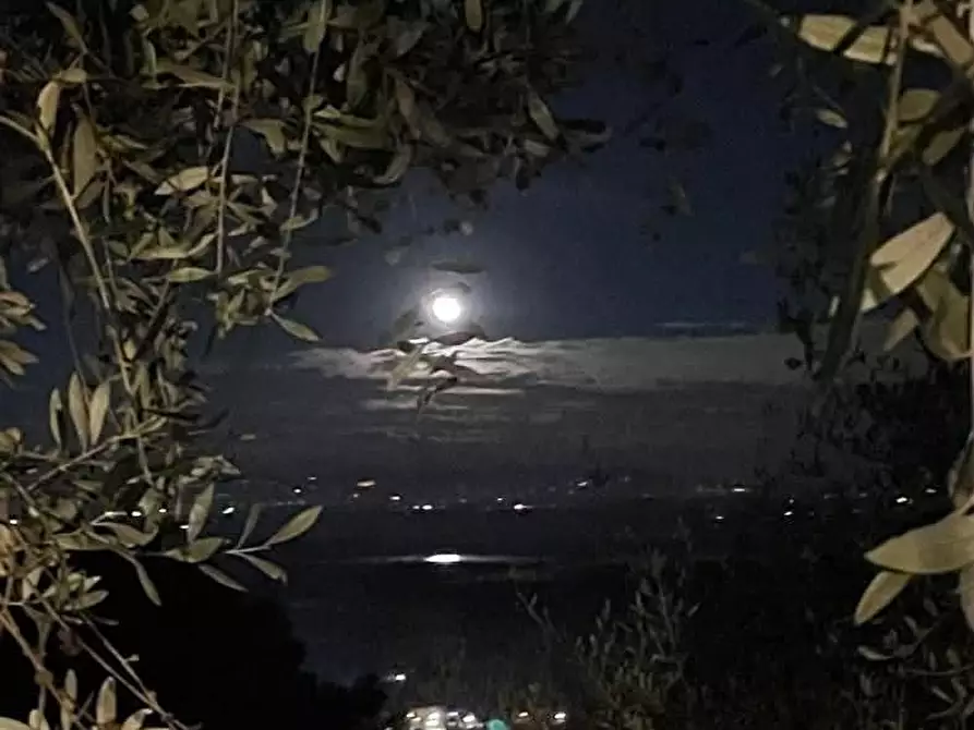 Immagine 8 di Rustico / casale in vendita  a Capannori