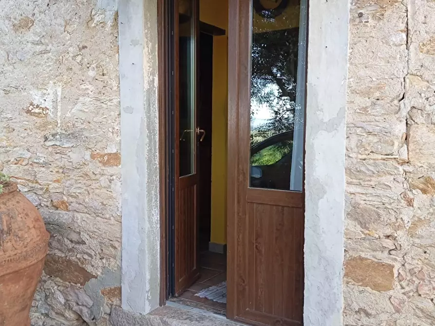 Immagine 4 di Rustico / casale in vendita  a Capannori