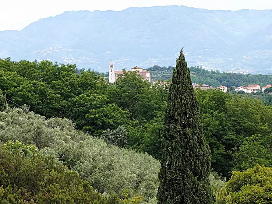 Immagine 6 di Rustico / casale in vendita  a Capannori