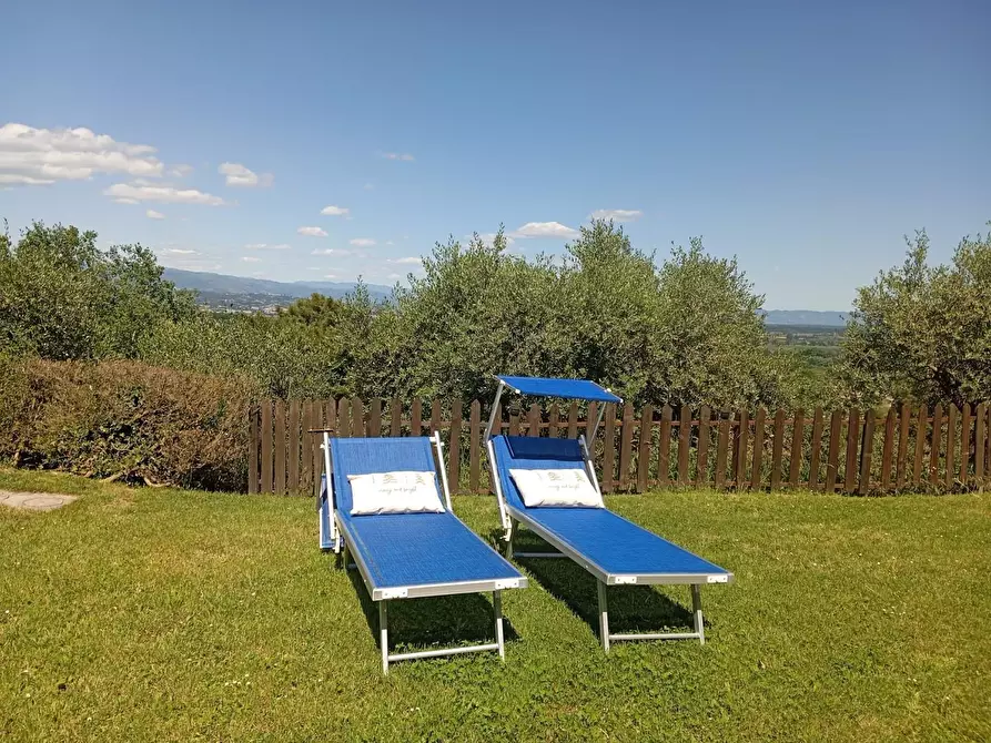 Immagine 14 di Rustico / casale in vendita  a Capannori