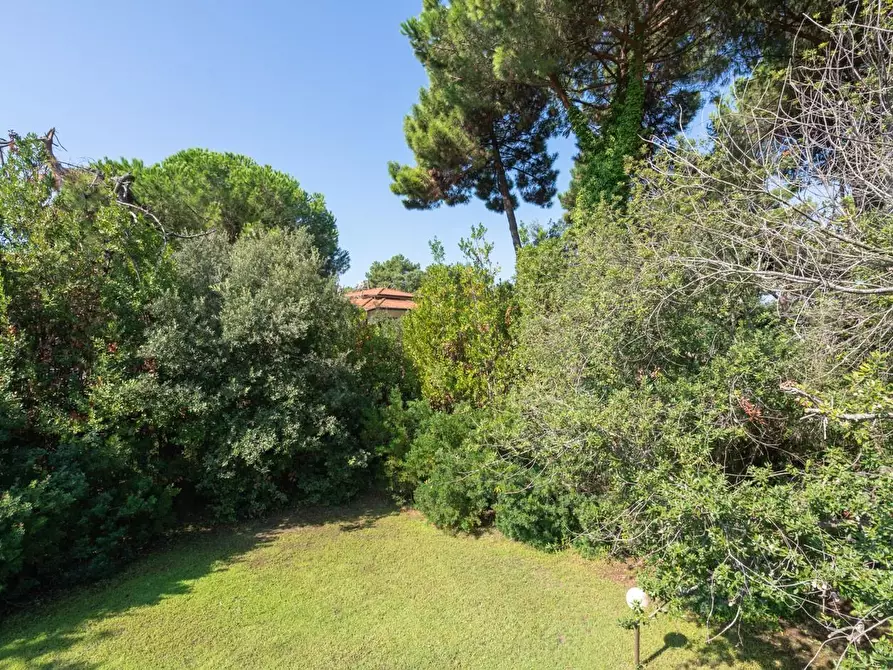 Immagine 45 di Villa in vendita  a Massa