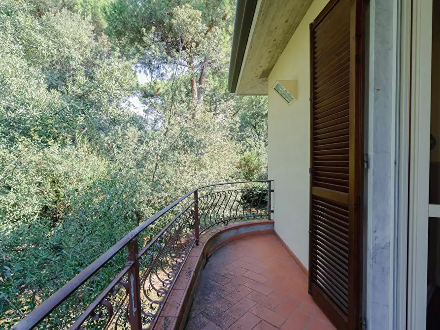 Immagine 31 di Villa in vendita  a Massa