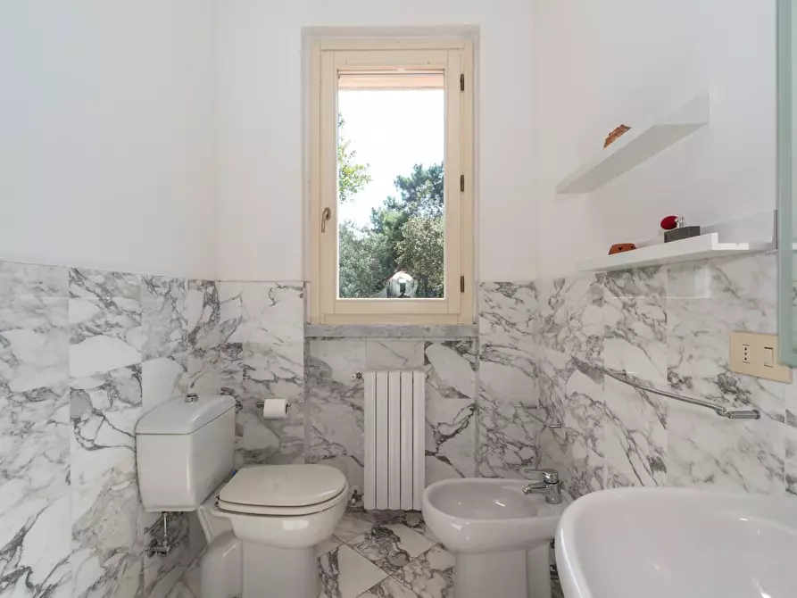 Immagine 40 di Villa in vendita  a Massa