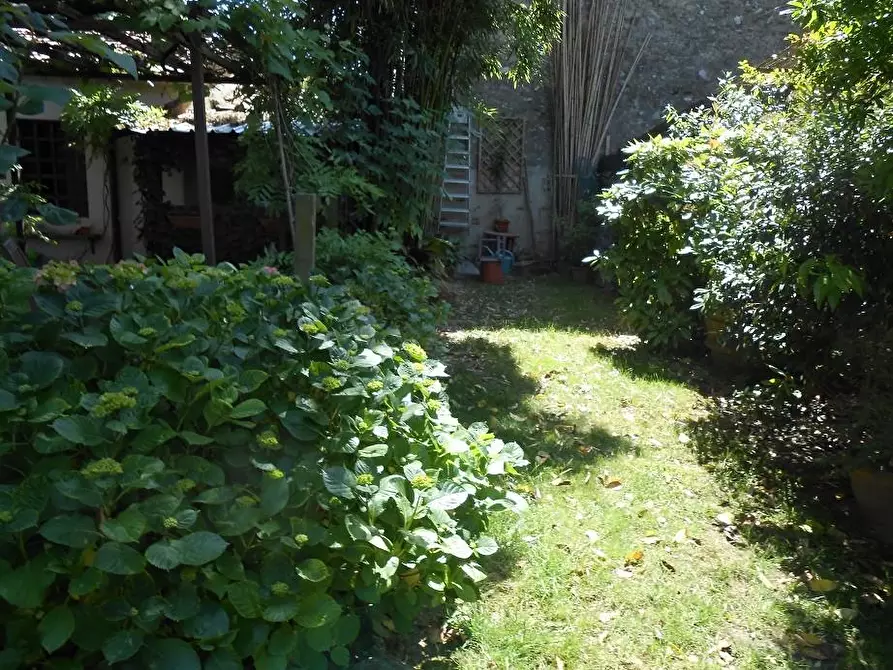 Immagine 6 di Rustico / casale in vendita  a Vecchiano