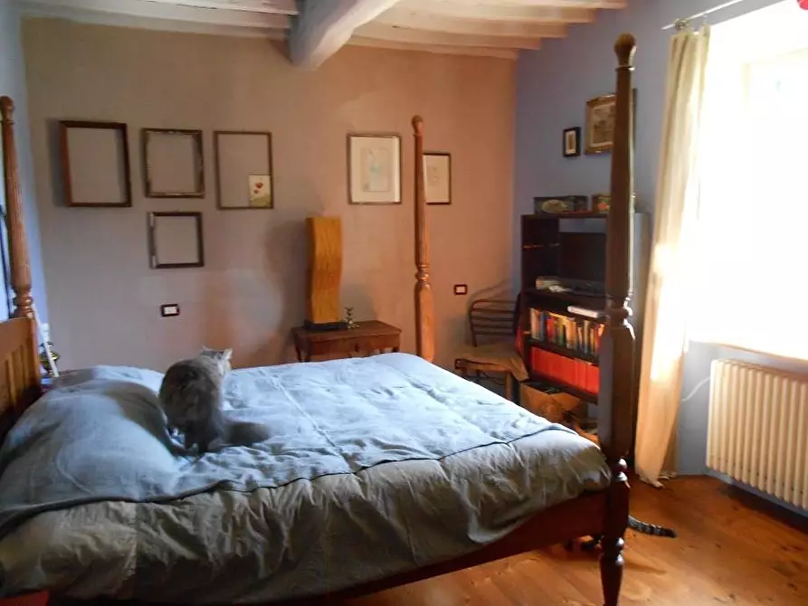 Immagine 16 di Rustico / casale in vendita  a Vecchiano