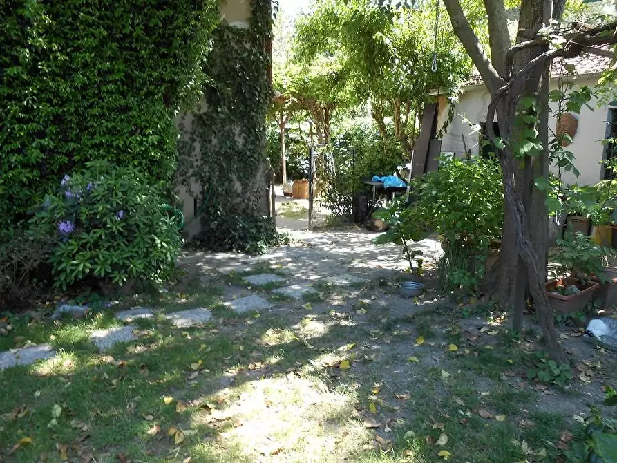 Immagine 7 di Rustico / casale in vendita  a Vecchiano