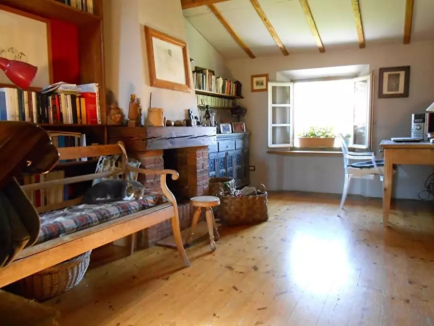 Immagine 19 di Rustico / casale in vendita  a Vecchiano