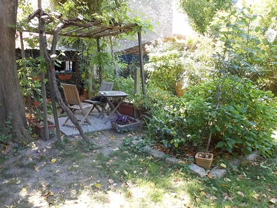 Immagine 3 di Rustico / casale in vendita  a Vecchiano