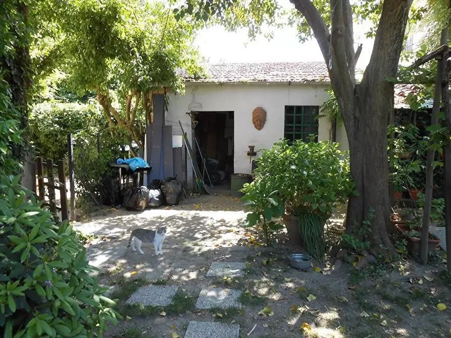 Immagine 2 di Rustico / casale in vendita  a Vecchiano