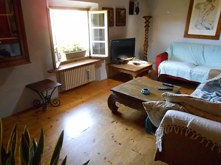 Immagine 25 di Rustico / casale in vendita  a Vecchiano