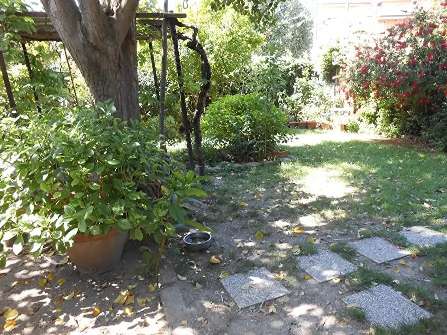 Immagine 8 di Rustico / casale in vendita  a Vecchiano