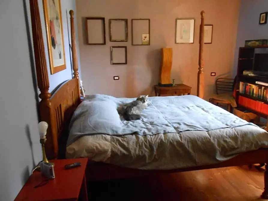 Immagine 17 di Rustico / casale in vendita  a Vecchiano