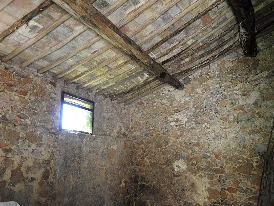 Immagine 17 di Rustico / casale in vendita  a Monteriggioni