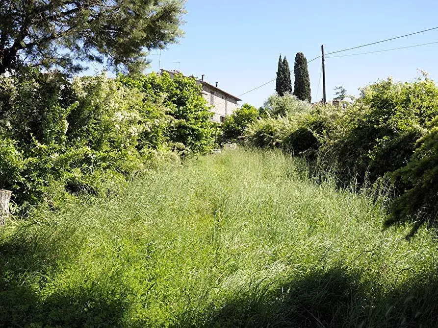 Immagine 2 di Rustico / casale in vendita  a Monteriggioni
