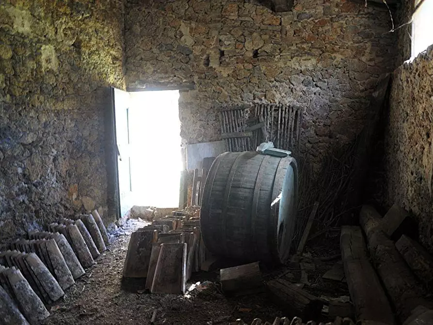 Immagine 15 di Rustico / casale in vendita  a Monteriggioni