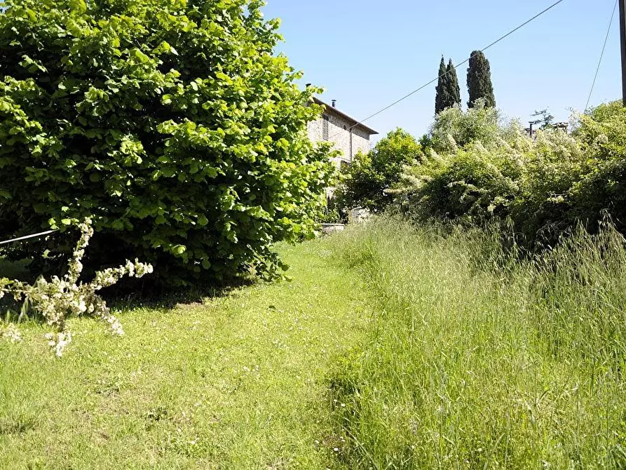 Immagine 3 di Rustico / casale in vendita  a Monteriggioni