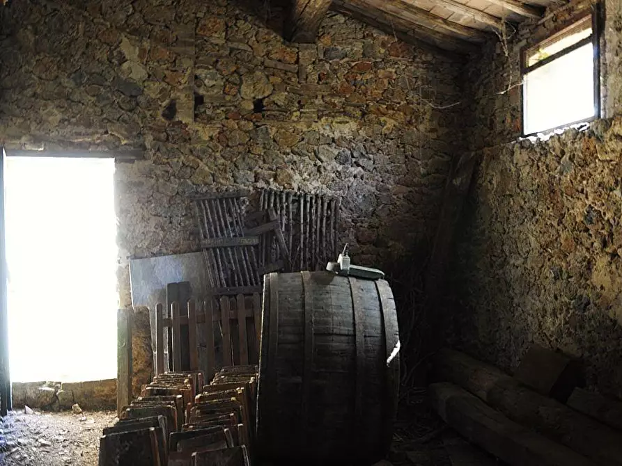 Immagine 13 di Rustico / casale in vendita  a Monteriggioni