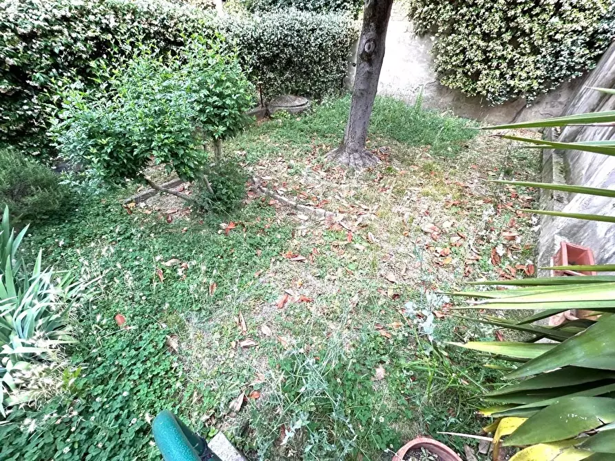 Immagine 8 di Terratetto in vendita  a Empoli