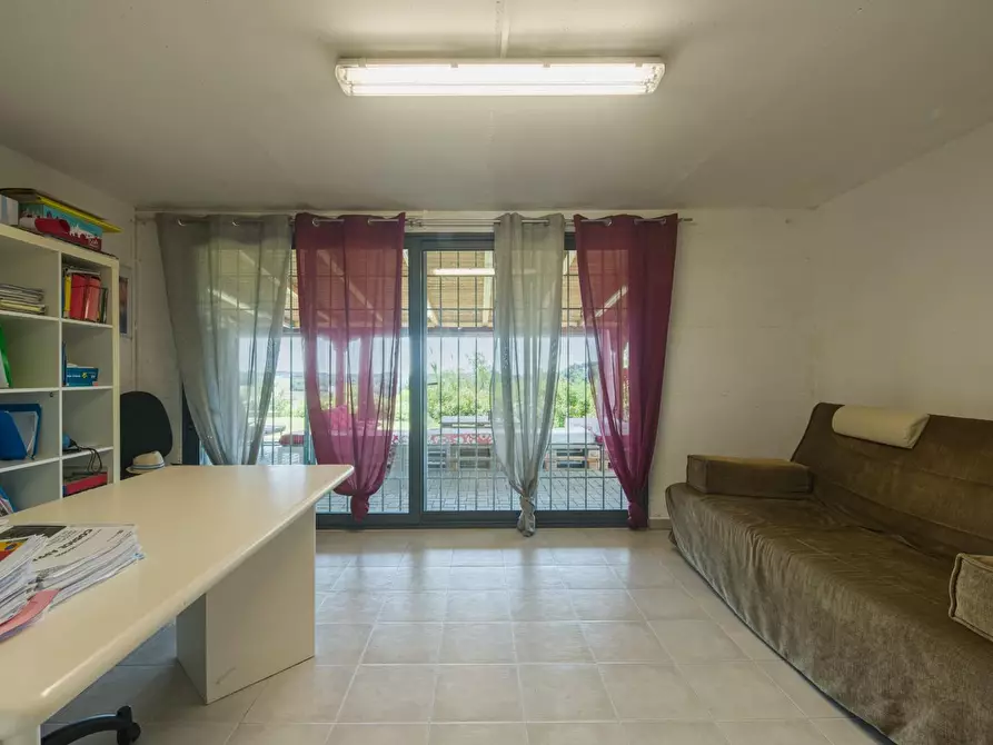 Immagine 23 di Terratetto in vendita  a Capannoli