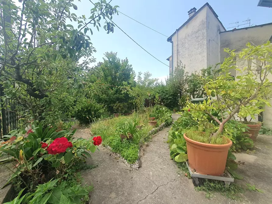 Immagine 2 di Villa in vendita  a Lucca