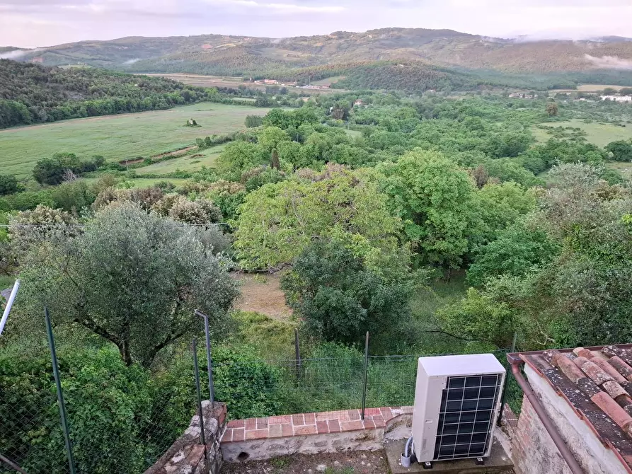 Immagine 12 di Terratetto in vendita  a Monticiano