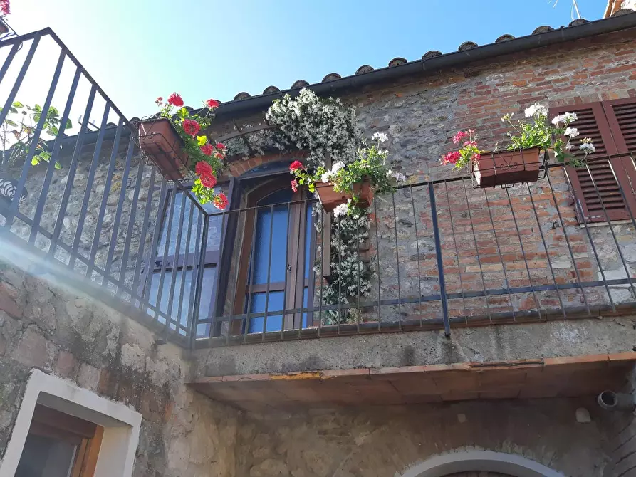 Immagine 19 di Terratetto in vendita  a Monticiano