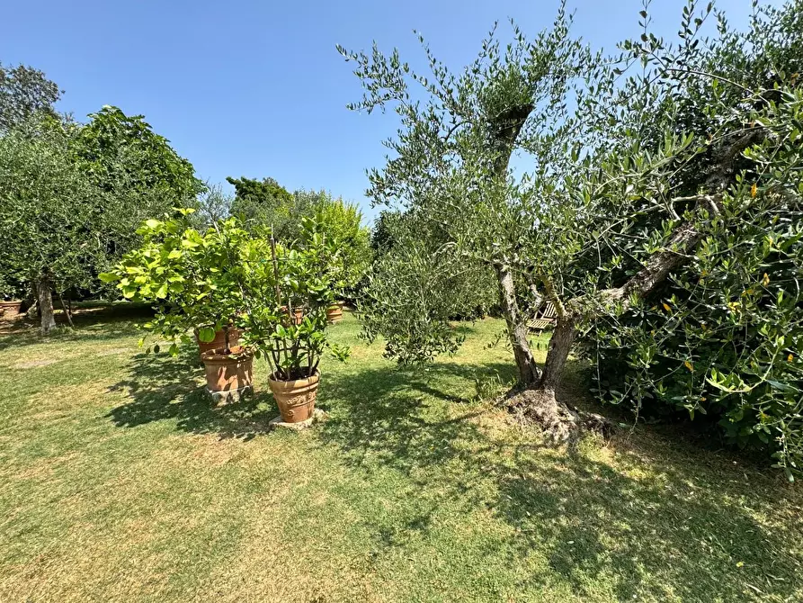 Immagine 15 di Rustico / casale in vendita  a Siena