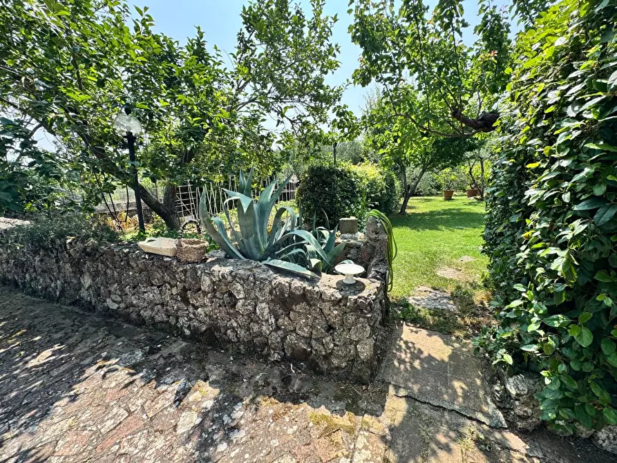 Immagine 9 di Rustico / casale in vendita  a Siena