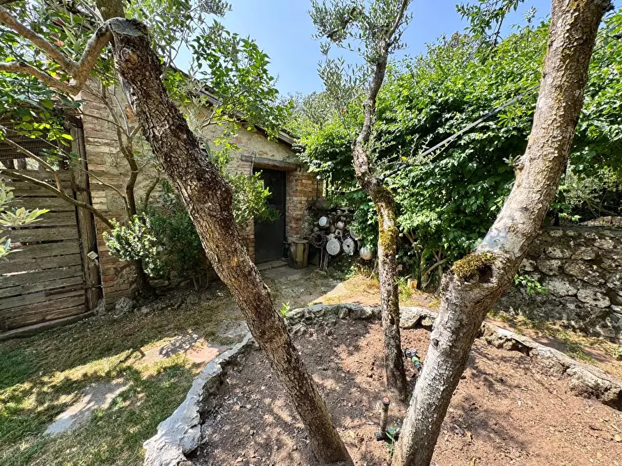 Immagine 18 di Rustico / casale in vendita  a Siena