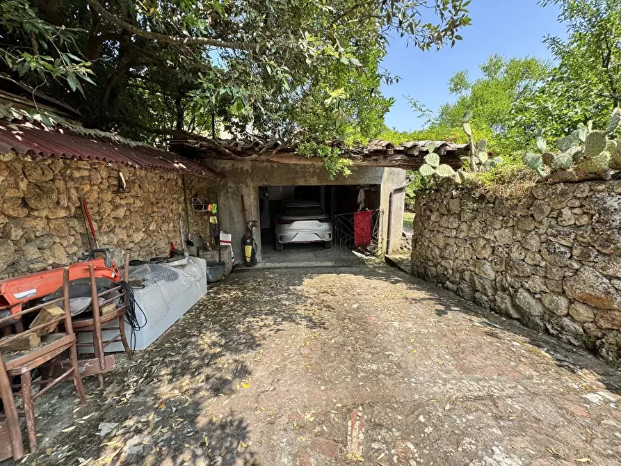 Immagine 49 di Rustico / casale in vendita  a Siena