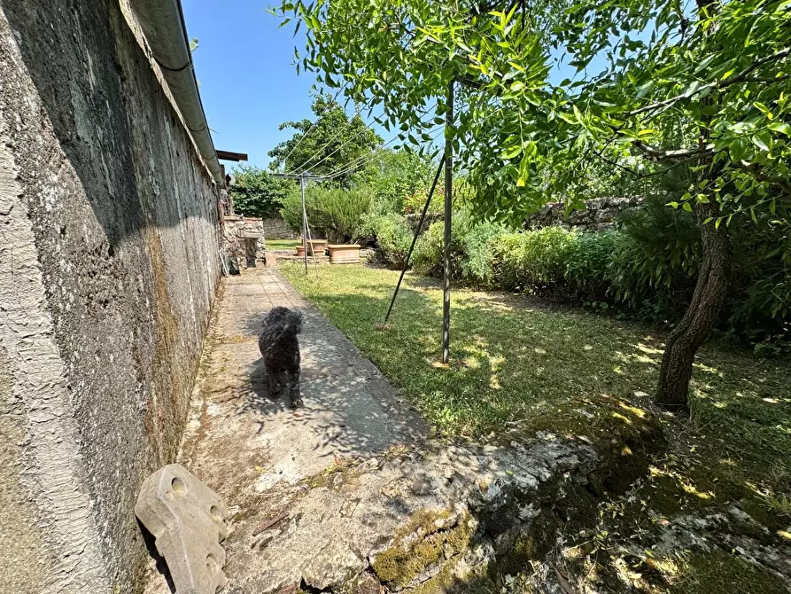 Immagine 11 di Rustico / casale in vendita  a Siena