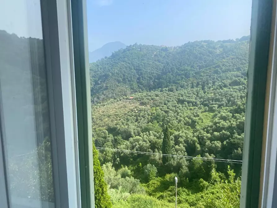 Immagine 3 di Terratetto in vendita  a Massarosa