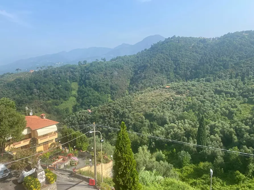 Immagine 7 di Terratetto in vendita  a Massarosa