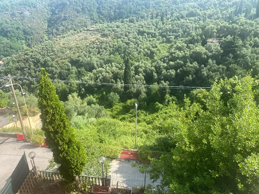 Immagine 6 di Terratetto in vendita  a Massarosa