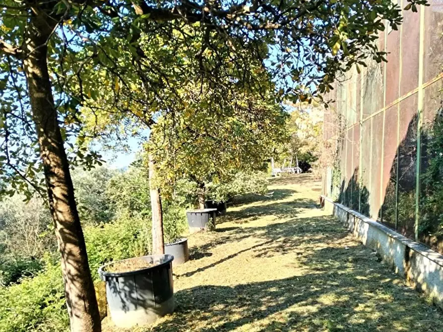 Immagine 22 di Casa indipendente in vendita  a Sarzana