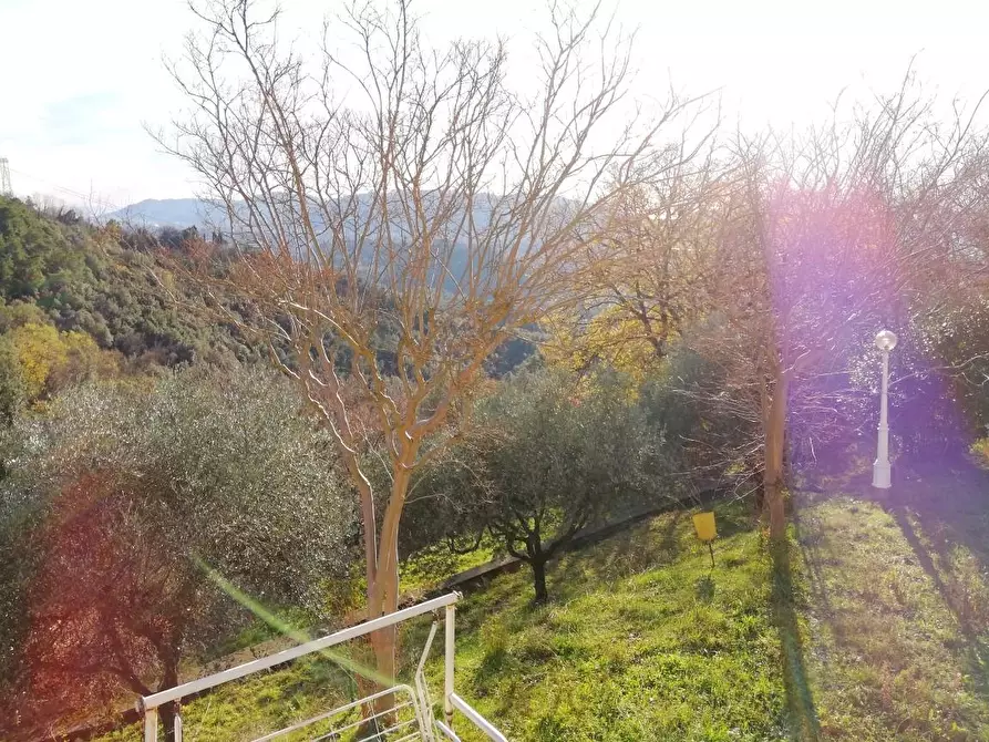 Immagine 40 di Casa indipendente in vendita  a Sarzana
